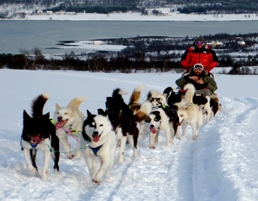 Kirkenes snowmobiles by Terje Rakke - VisitNorway